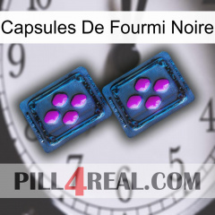 Black Ant Capsules 03